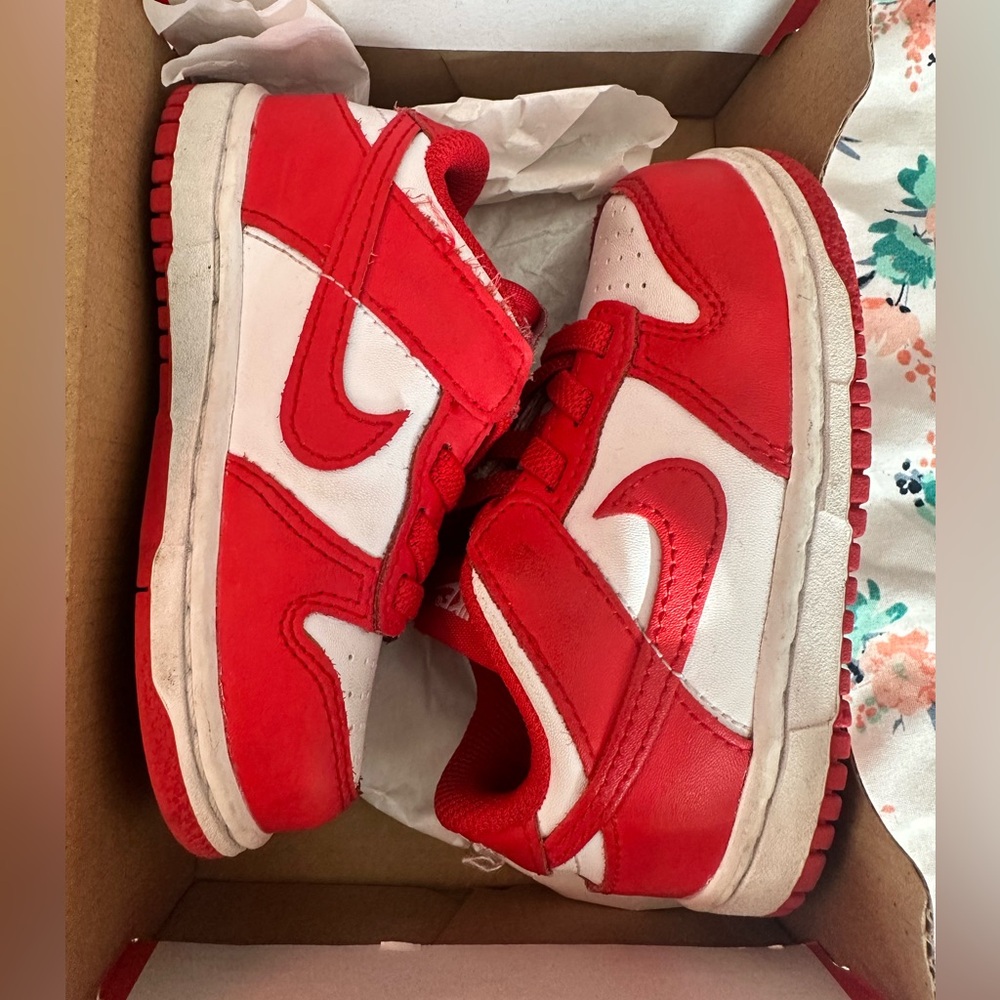 Nike Dunk Low TD